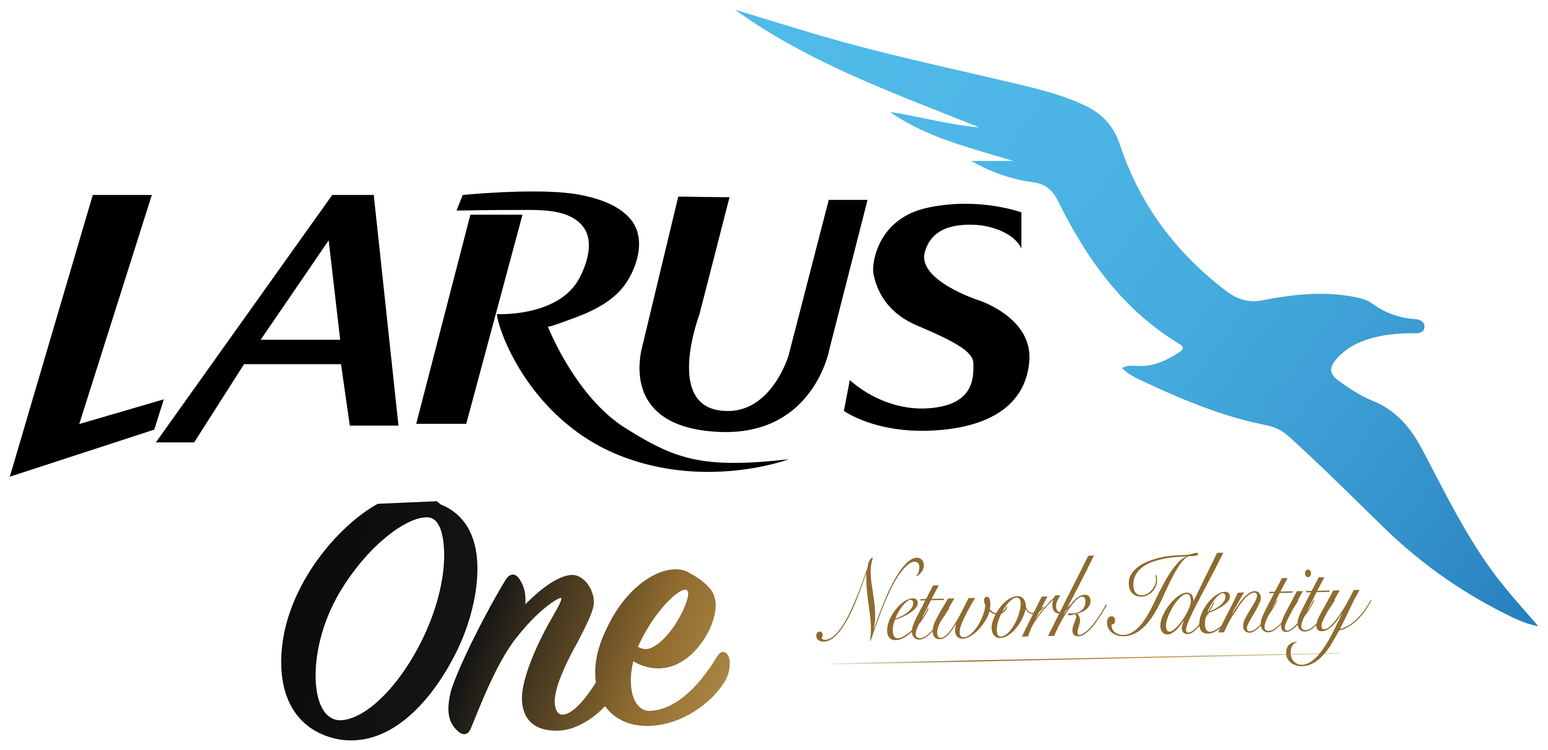 Network Identity product lockup