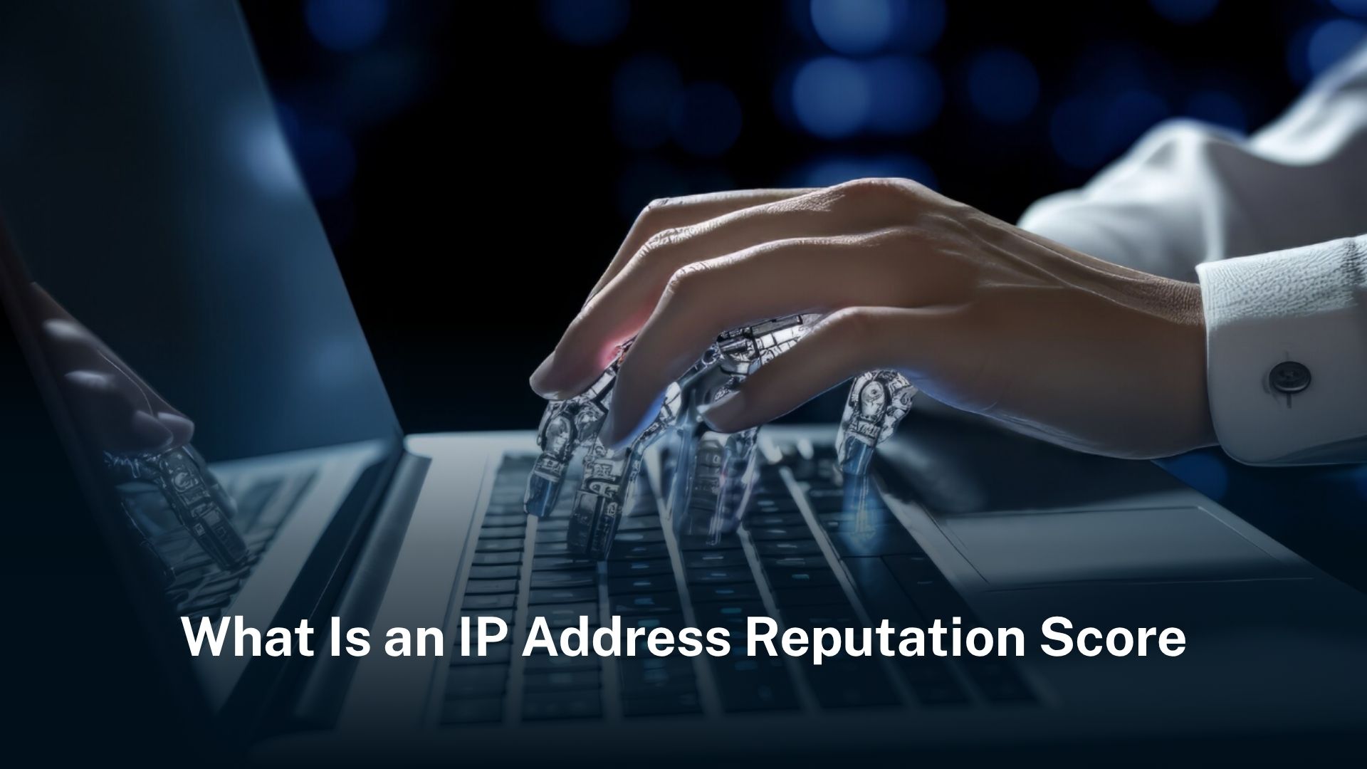 IP 信誉概览