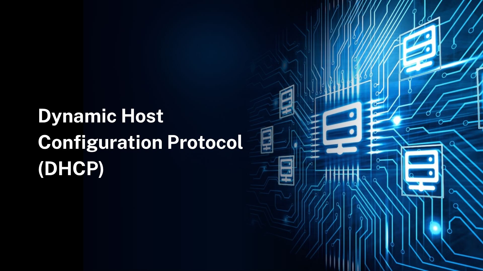 dynamic-host
