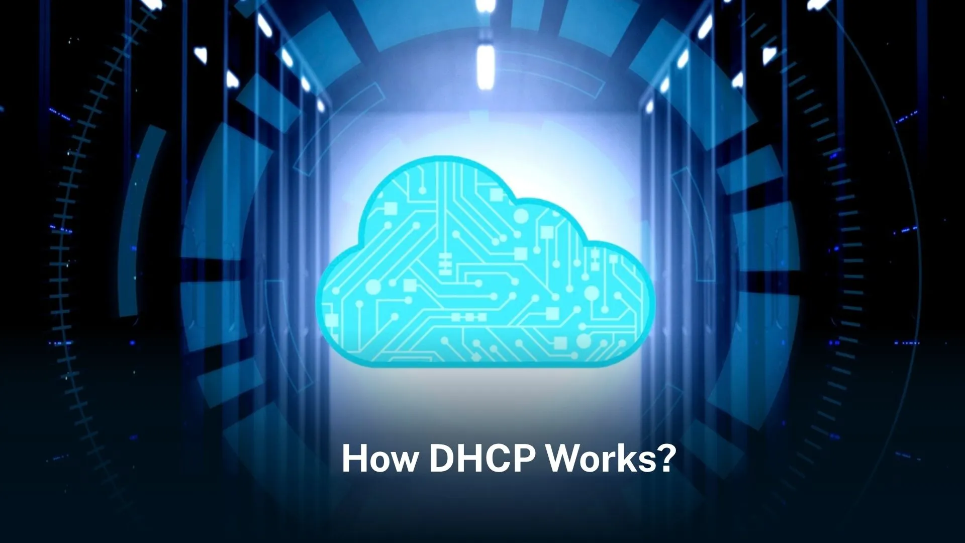 dhcp