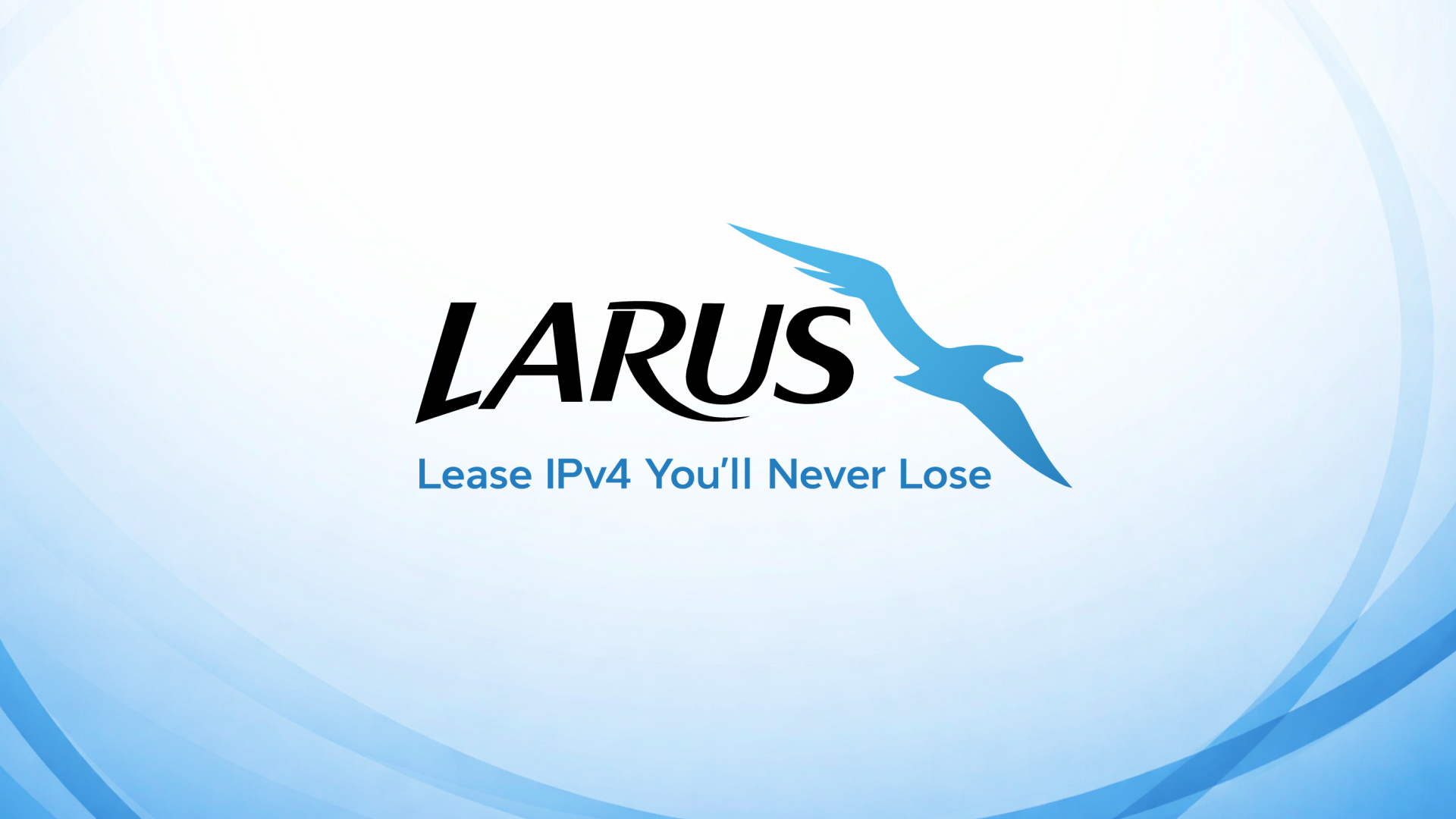 larus